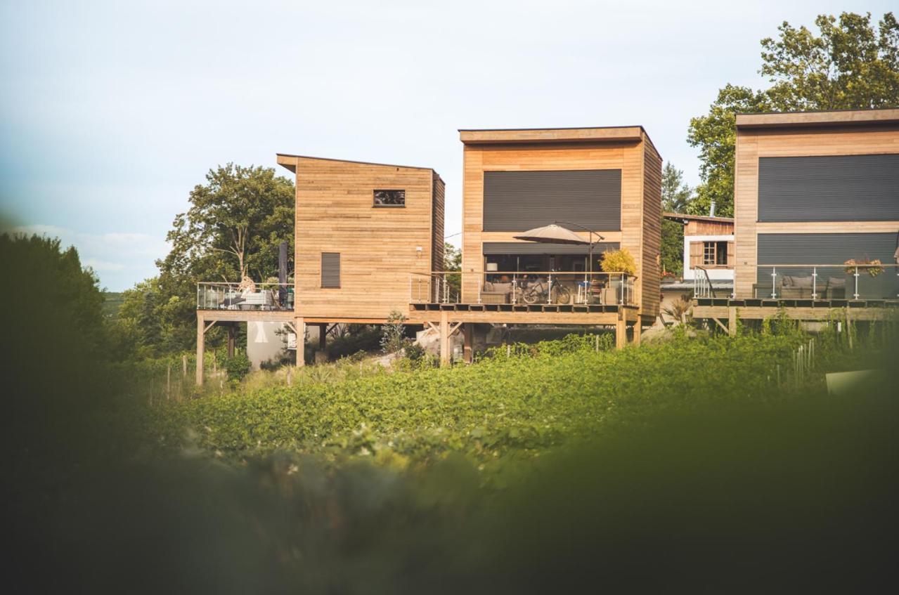 Cottages Antoinette Chigny-les-Roses Exterior foto